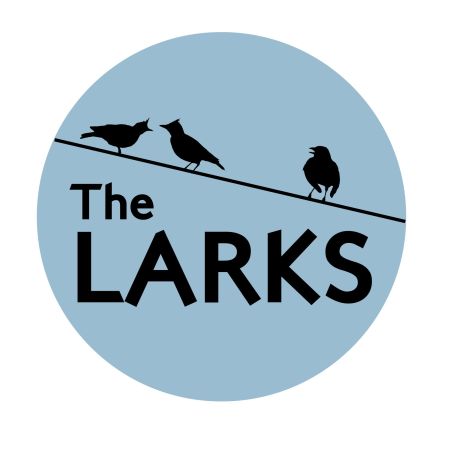The Larks with Hireaband